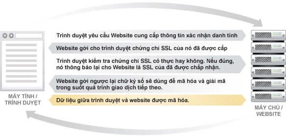 SSL Chuyên Nghiệp & Uy Tín từ Đại Hữu Company | Dịch Vụ Bảo Mật Tên Miền Đáng Tin Cậy